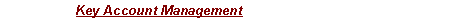 Text Box: Key Account Management